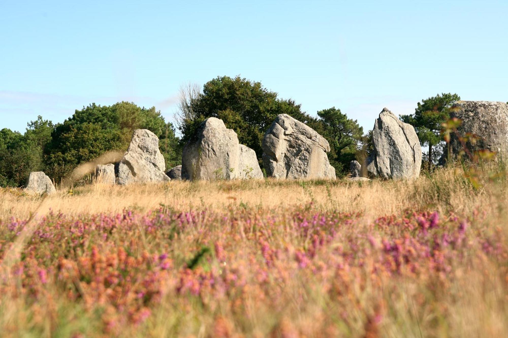 Le Gite Des Algues Sene Luaran gambar